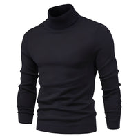 Harvey - Eleganter Rollkragenpullover in Schwarz