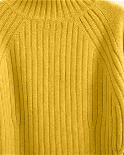 Aloise | Stylischer Rollkragenpullover