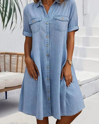 Rianne | Damen Vintage Kleid Kragen Knöpfe Kurzarm Elegant Retro in Blau