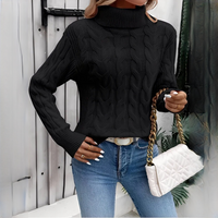 Amélie - Komfortabler Rollkragenpullover in Schwarz