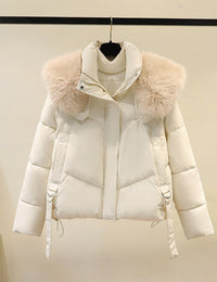 Offwhite