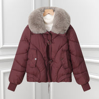 Damen kurzes Pilotenblouson mit voluminösem Schalkragen und Kordelzugsaum in Angorrot