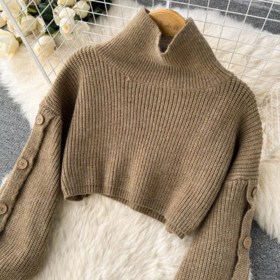 Setina | Gestricktes Rollkragenpullover und Tailliertes Mini-Kleid 2-teiliges Set