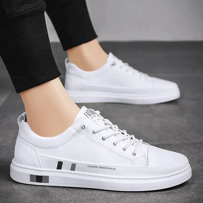 RalphMattew | Caterpillar - 40%