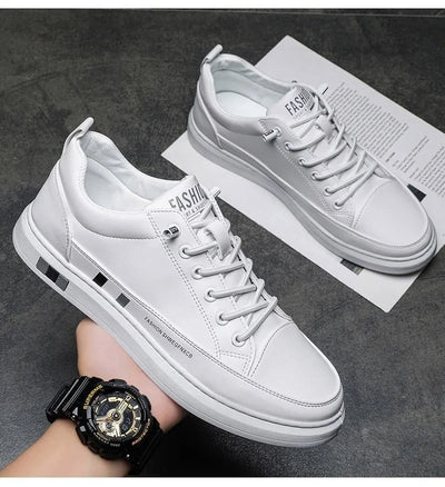 RalphMattew | Caterpillar - 40%