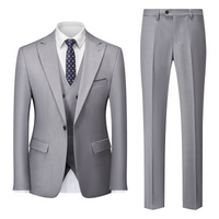 Maximilian | Herren Business Anzug Set in Grau