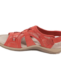 Rot